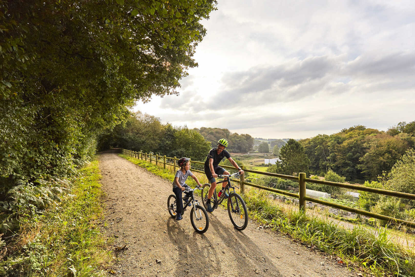 La francette a velo train aménagé pour vélo on sale