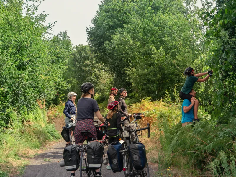 Cyclistes faisant une pause sur la voie verte et cueillant des mures dans les haies