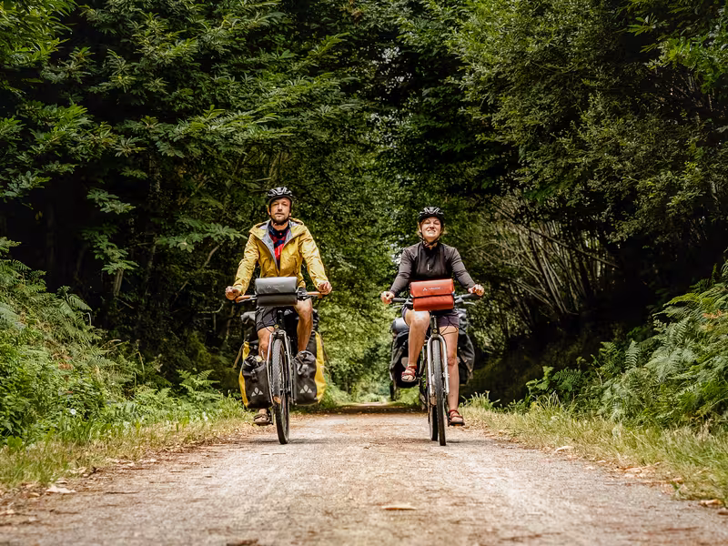 Voie verte ombragée sur la Véloscénie entre St-Hilaire-du-Harcouët et Ducey, itinéraire cyclable Paris–Mont-Saint-Michel