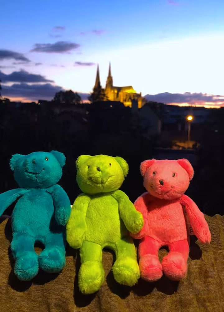 Les Ptits doudous au premier plan et la cathédrale de Chartres illuminée au loin