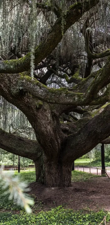 De Paris jusqu'à Massy (16,5 km)