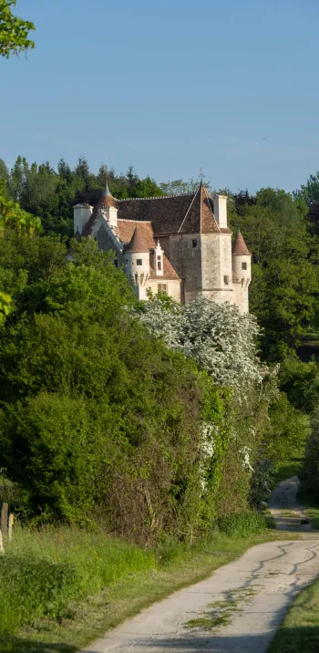 Domaine de Courboyer 2033 cphoto David Commenchal-CD61 (35).jpg