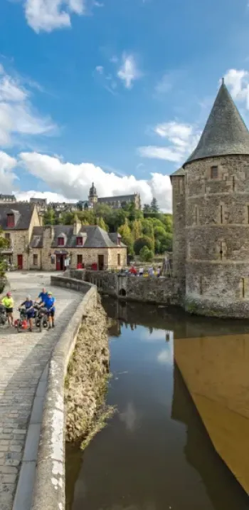 chateau-de-fougeres-douve.jpg