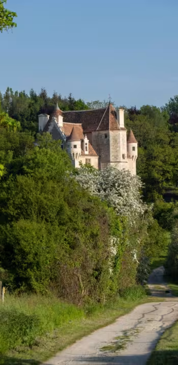 Domaine de Courboyer 2033 cphoto David Commenchal-CD61 (35).jpg