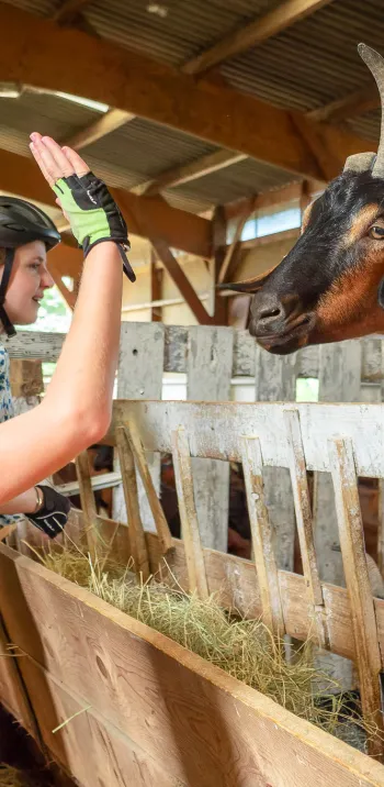 ferme-de-la-mercerie-mayenne-cp-alexandre-leroy-la-veloscenie.jpg