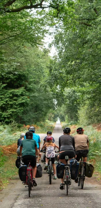 Cette étape emprunte d'agréables petites routes forestières.