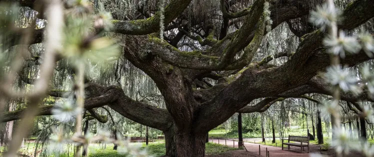 De Paris jusqu'à Massy (16,5 km)