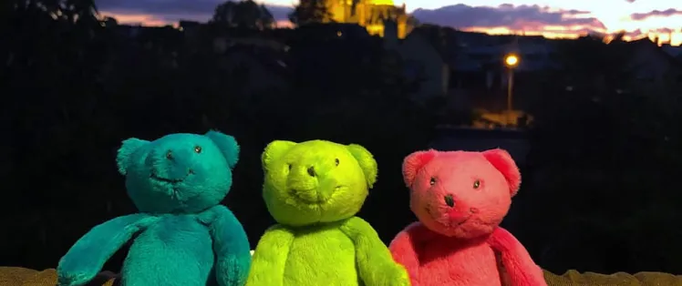 Ana Paula, trésorière de l'association Les P'tits Doudous