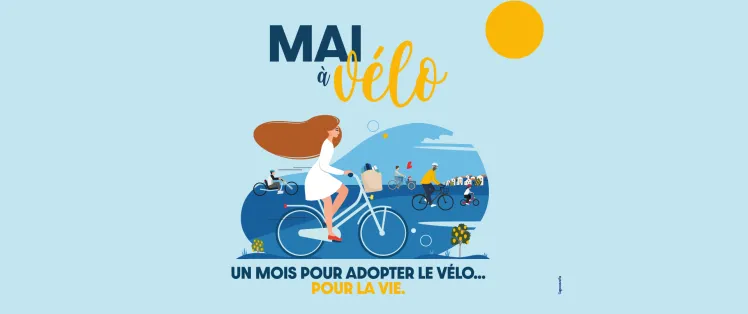 Plan de travail 1.png