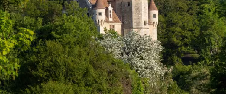 Domaine de Courboyer 2033 cphoto David Commenchal-CD61 (35).jpg