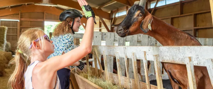 ferme-de-la-mercerie-mayenne-cp-alexandre-leroy-la-veloscenie.jpg