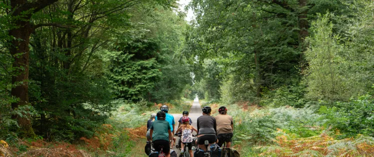 Cette étape emprunte d'agréables petites routes forestières.