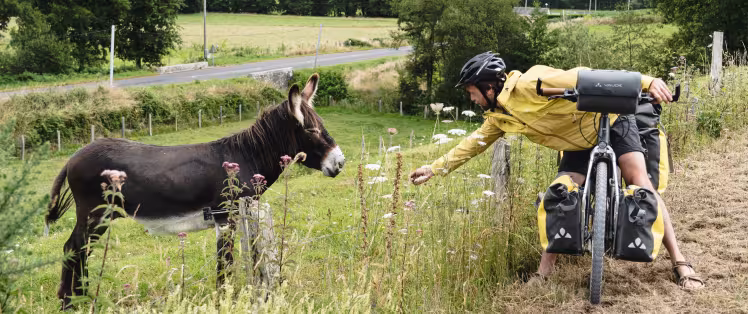 rencontre-sur-la-voie-verte-veloscenie_un-monde-a-velo.jpg