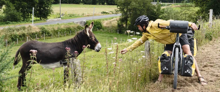 rencontre-sur-la-voie-verte-veloscenie_un-monde-a-velo.jpg