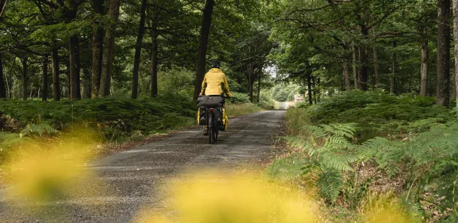 Forêt de Rambouillet itinéraire La Véloscénie
