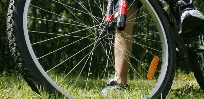 © Lilufoto-Fotolia.com