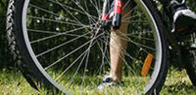 © Lilufoto-Fotolia.com