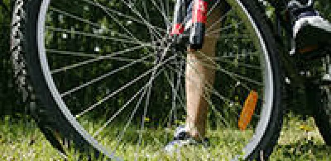 © Lilufoto-Fotolia.com