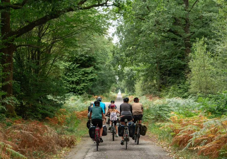 Groupe de cyclistes roulant sur une petite route forestière.