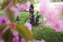Vélo de voyage avec sacoches vertes appuyé contre un arbre, encadré de cerisiers en fleurs roses au printemps sur la Véloscénie