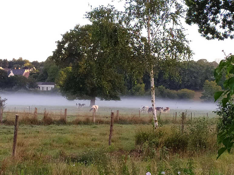 Brume au dessus d'un champ prise le long de l'itinéraire à vélo de La Véloscénie Paris Le Mont Saint-Michel