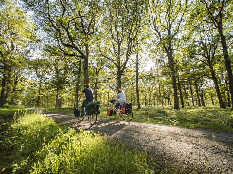 Séjour organisé à la découverte de la vallée de Chevreuse et de Chartres en vélo électrique